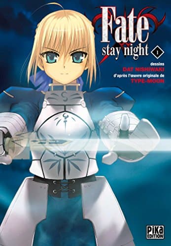 Illustration de la série Fate Stay Night